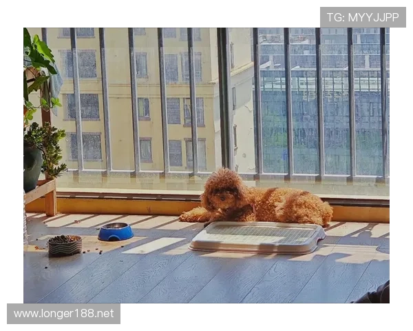 蒋圣龙家的狗都比我会养生