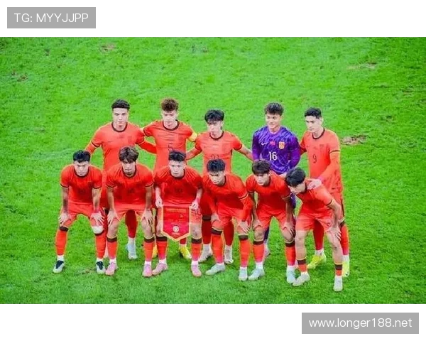 伊拉克最适合什么阵型 伊拉克最适合什么阵型